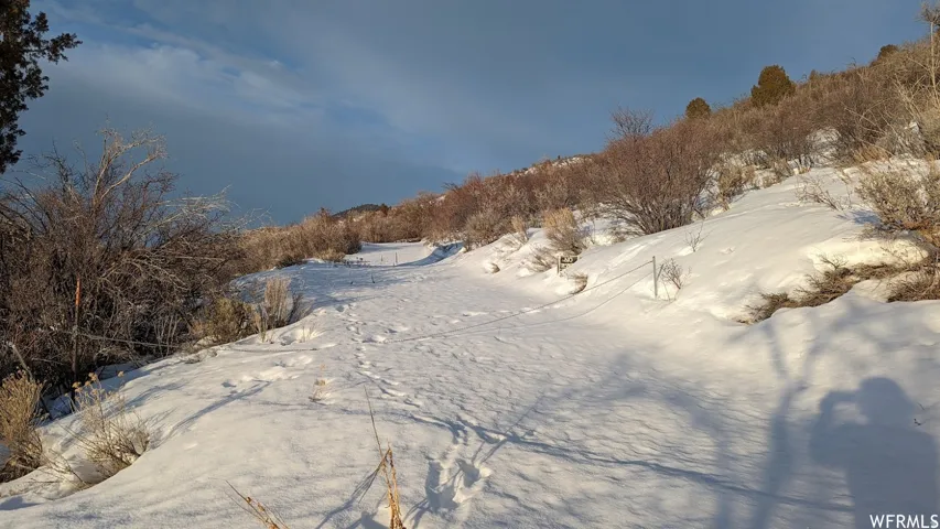 Snow-covered terrain featuring natural vegetation and a gentle slope