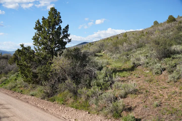 Expansive natural hillside terrain with a dirt road bordering the property