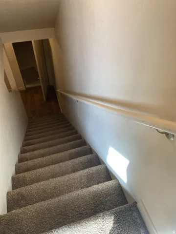 750-Carpeted staircase featuring a light-toned handrail and wall finish