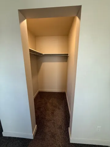 756-Recessed closet with built-in shelving and hanging rod, featuring neutral-toned walls and dark carpeting
