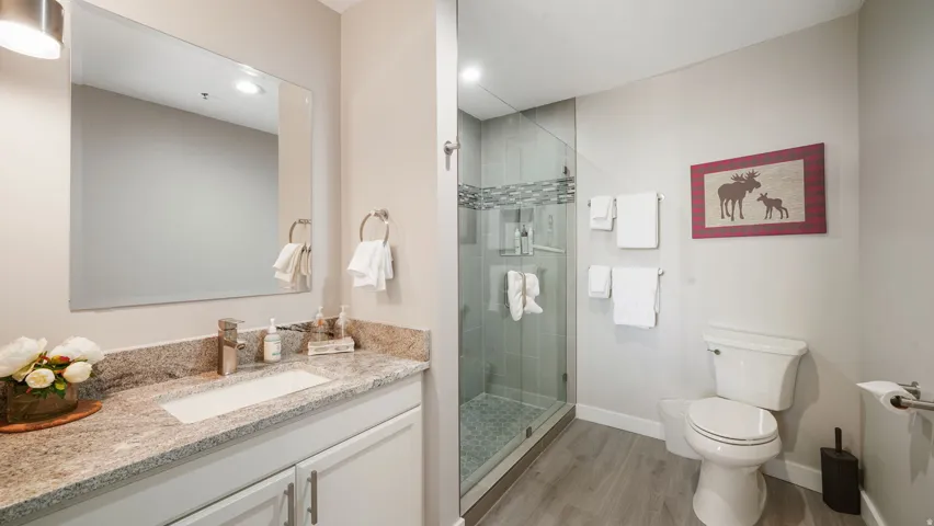 Bathroom featuring a single vanity with a granite countertop and undermount sink, a large framed mirror, a walk-in shower with a glass enclosure and tiled walls, and wood-finish flooring