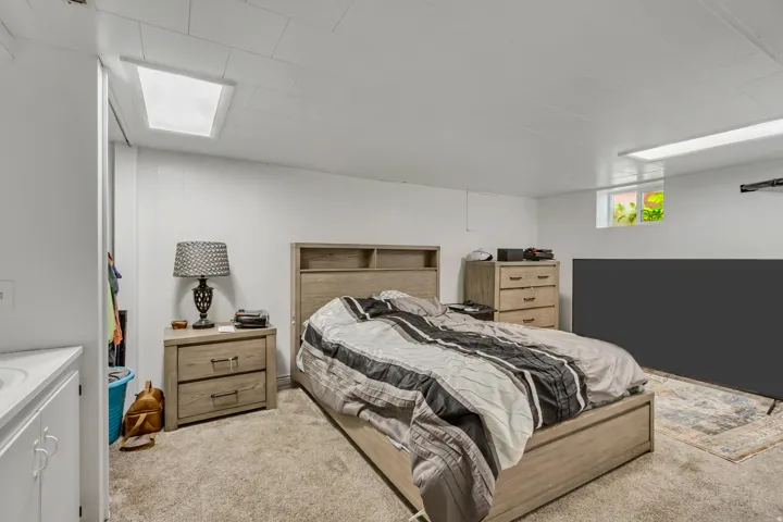 Carpeted bedroom featuring a skylight, a window, and white panel walls