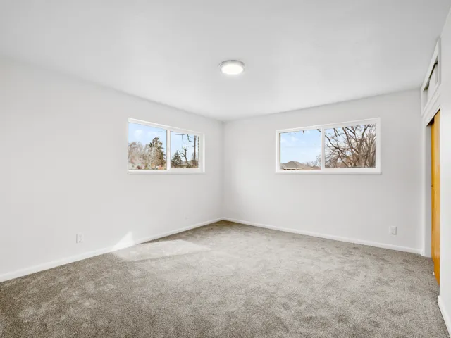 Interior room featuring light gray carpeting, neutral white walls, two double-paned windows, and a flush-mount ceiling light fixture