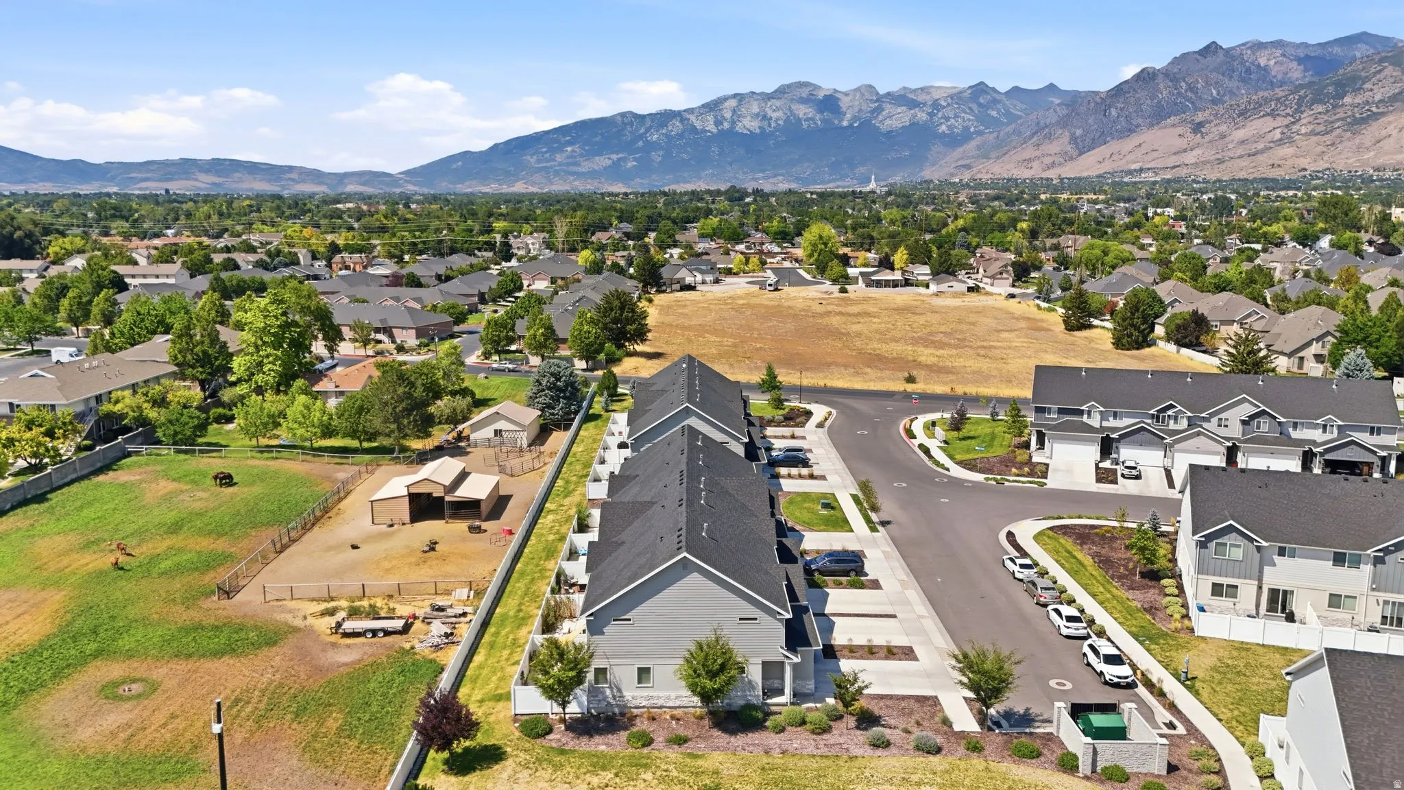 Townhouse development featuring multi-story units with attached garages and paved driveways