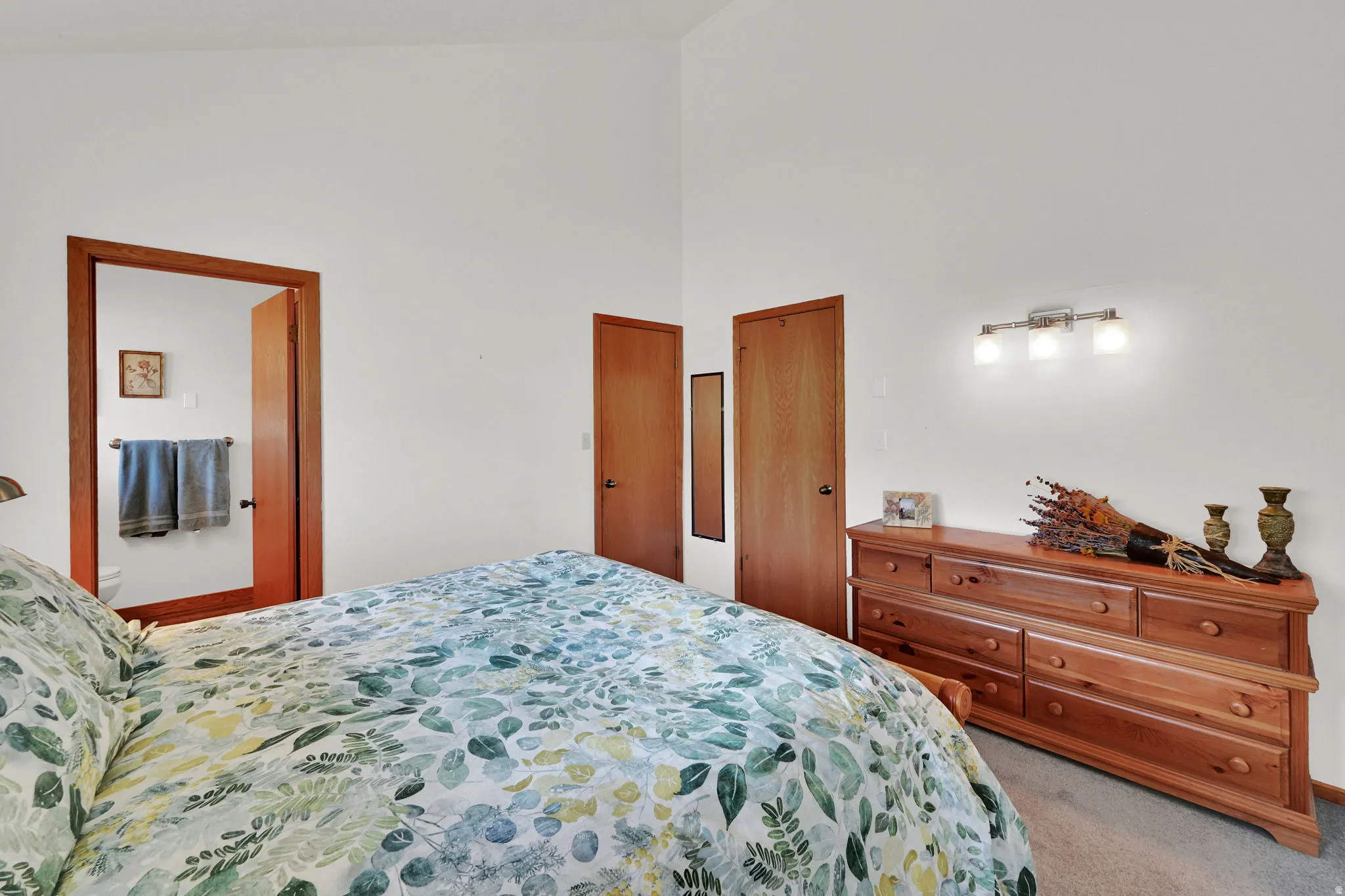 Primary Bedroom. Vaulted ceiling bedroom with light wood-finish doors and trim