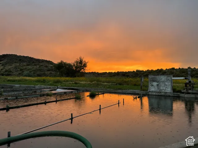 Irrigation pond with adjacent natural landscape