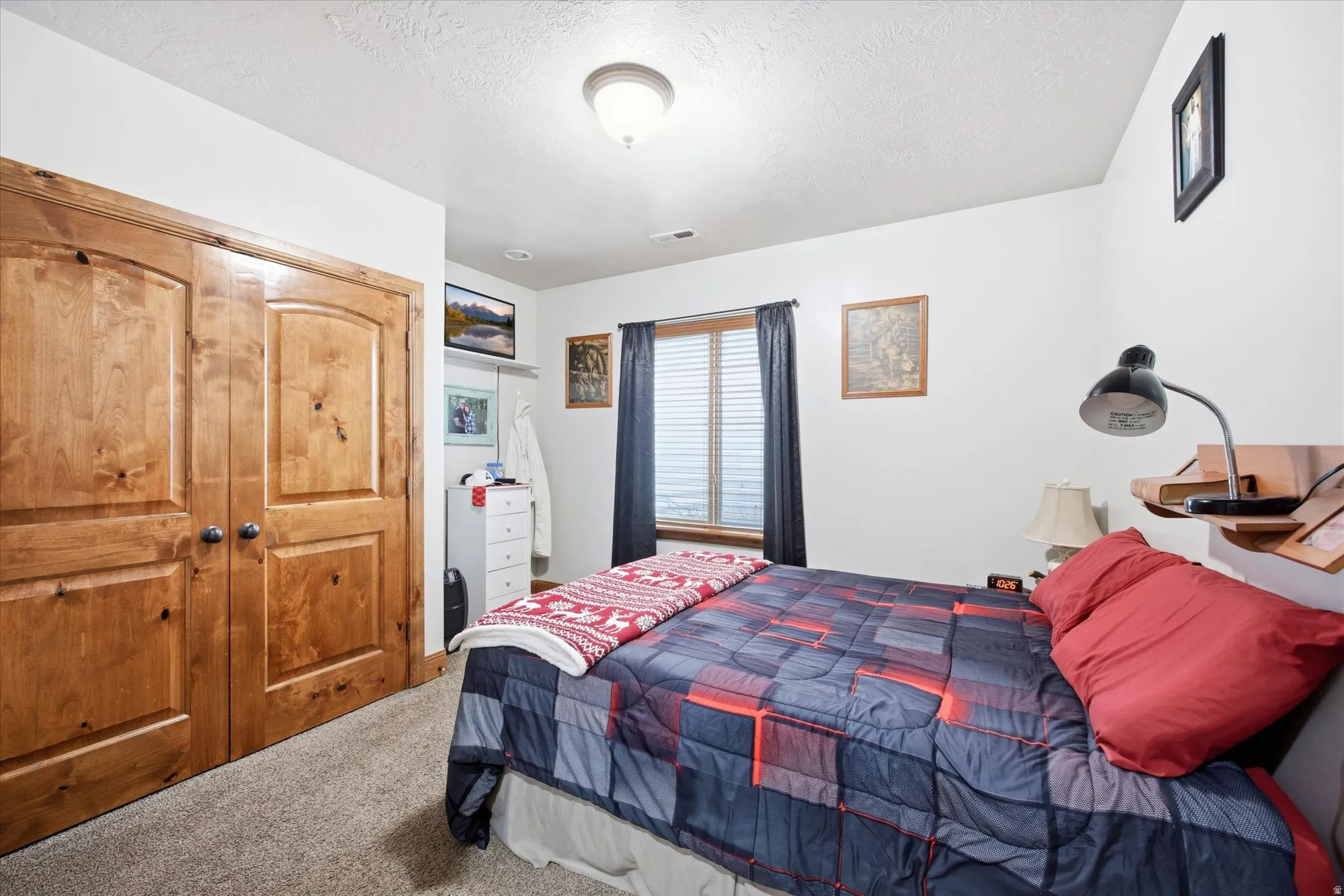 Room featuring a large window with blinds, light wood-finish double closet doors, textured carpet flooring, and a ceiling-mounted light fixture