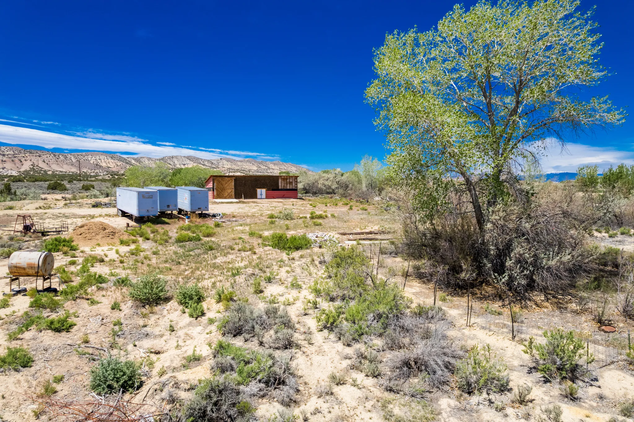 Expansive desert landscape featuring natural foliage and a mature tree