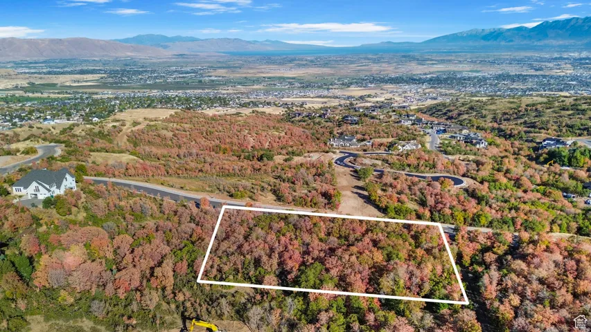 Expansive land parcel featuring varied topography and extensive tree coverage