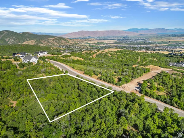Expansive wooded lot featuring a paved road, mountainous terrain, and distant city and water features under a clear sky
