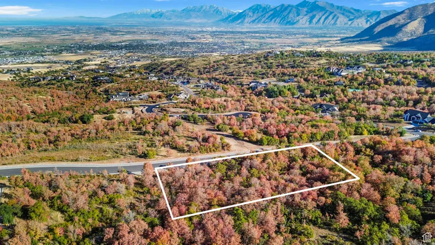 Expansive lot featuring mature trees with autumn foliage, bordered by a paved road