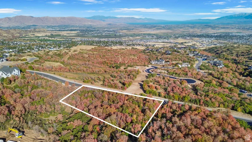 Expansive undeveloped land parcel with mature trees and a distant mountain range backdrop