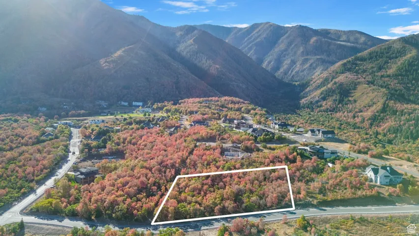 Expansive undeveloped land parcel framed by mature deciduous trees showcasing vibrant autumn foliage