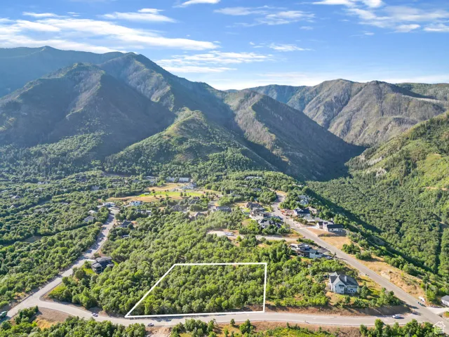 Expansive mountain property featuring a treed lot, surrounding mountain landscape, and paved road access