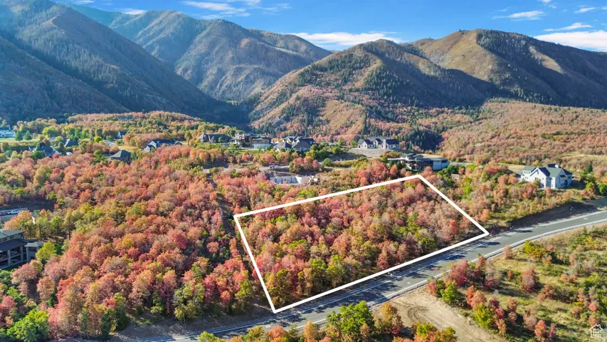 Mountainous terrain with a treed lot, bordering a paved road
