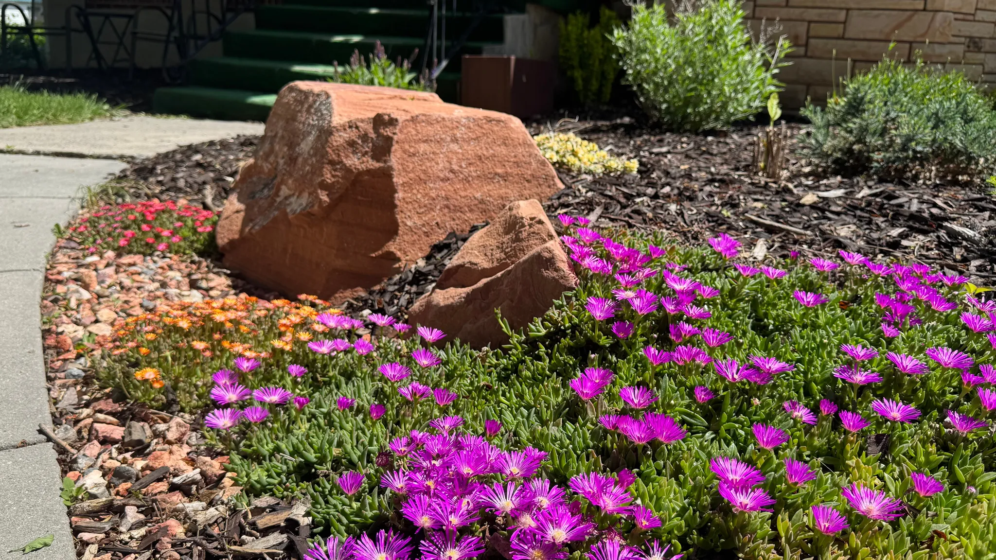 Landscaped garden bed featuring vibrant purple and orange flowering groundcover
