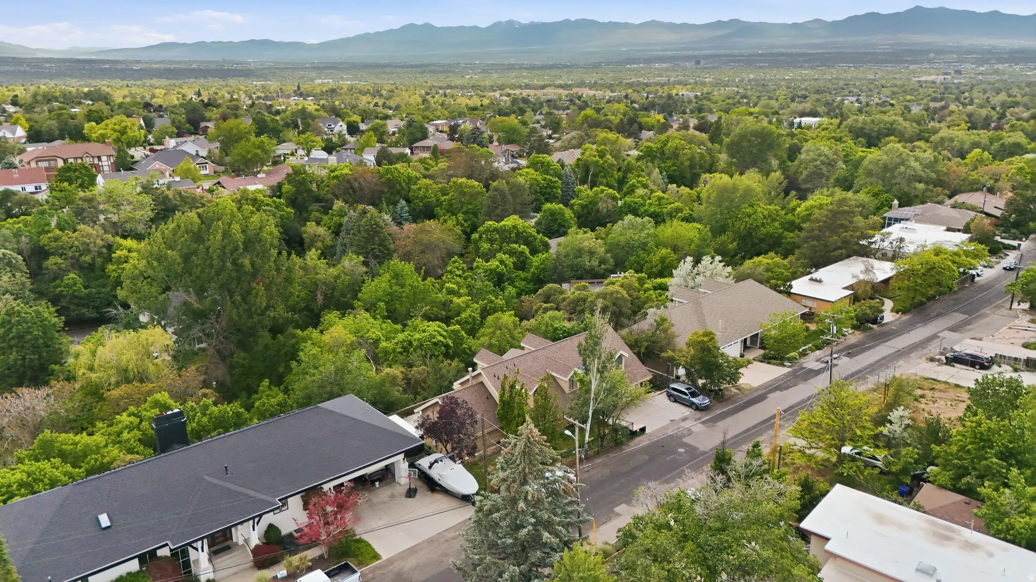 Expansive residential landscape featuring mature trees and mountain scenery