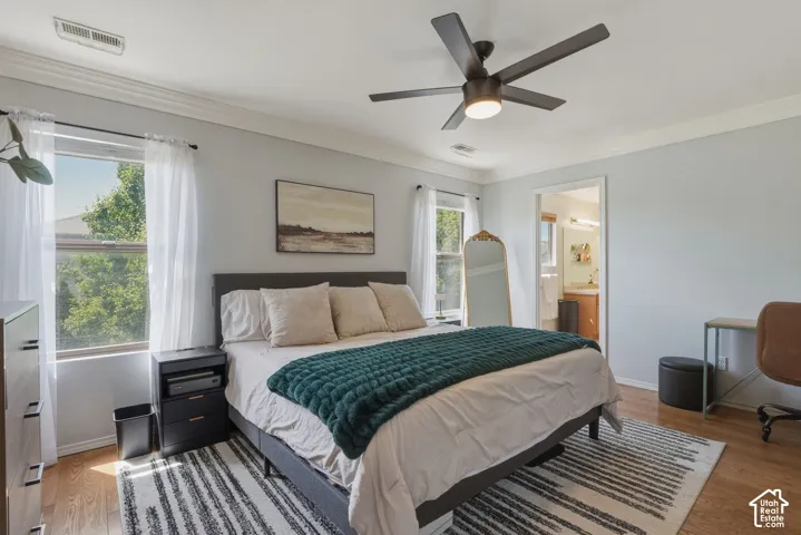 Spacious bedroom featuring wood-finish flooring, two windows with white trim, a ceiling fan with integrated lighting, and crown molding