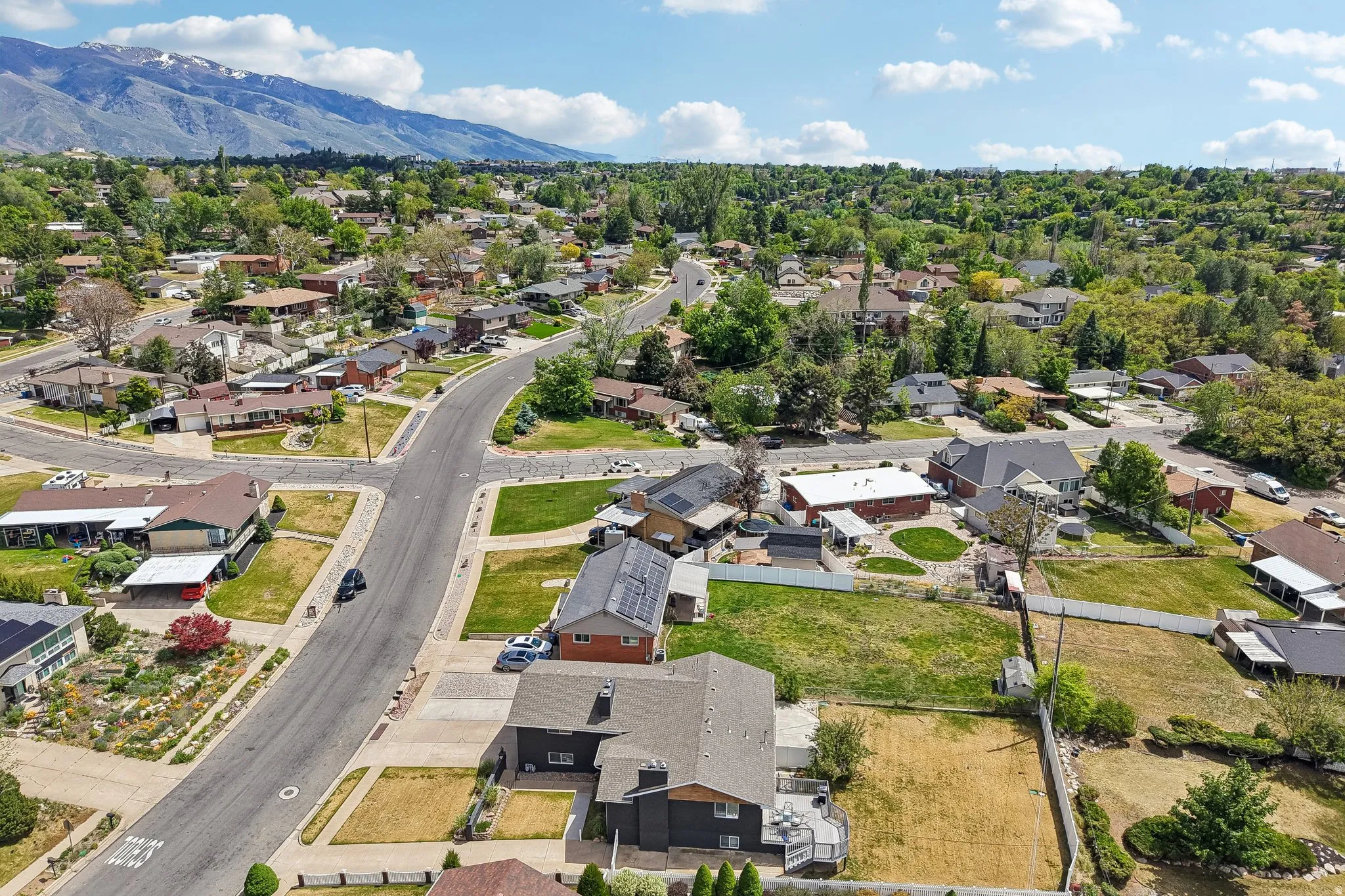 Aerial perspective showcasing a residential area with mature trees and mountain scenery