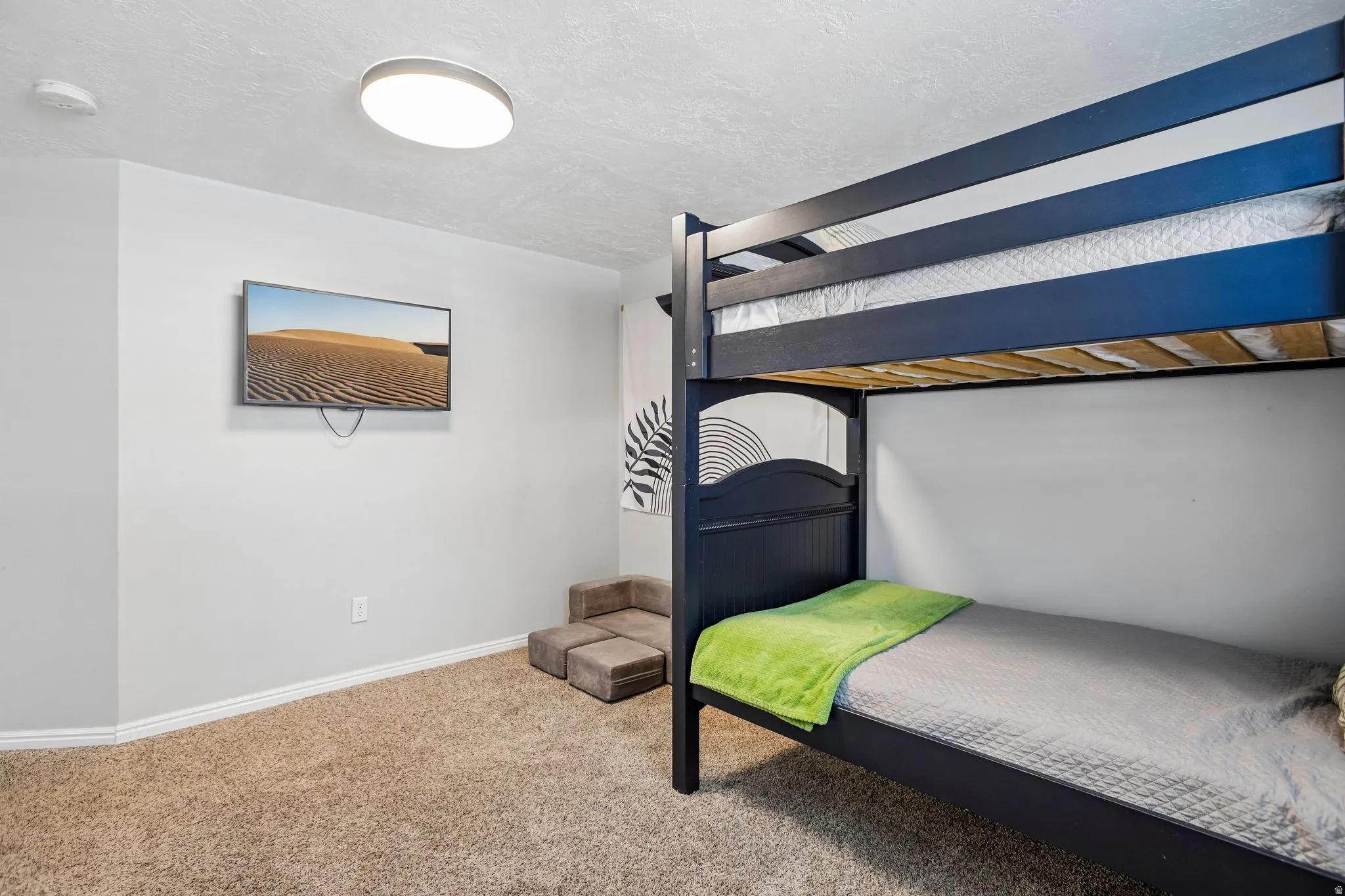 Carpeted room featuring light gray walls and a ceiling-mounted flush light fixture