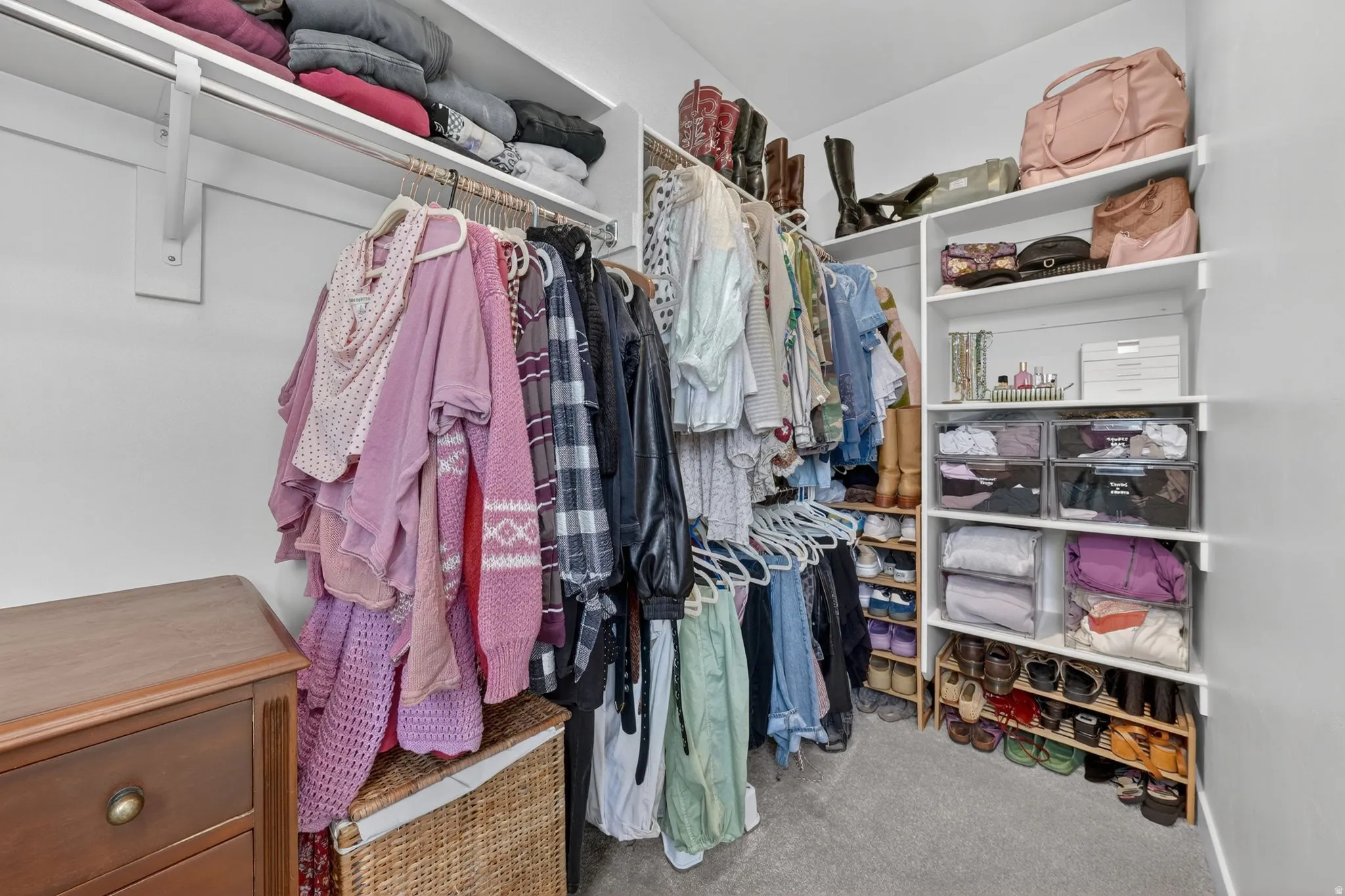 Recessed closet featuring white built-in shelving, hanging rods, and gray carpet flooring