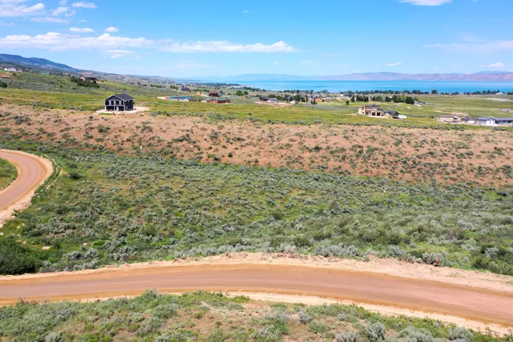 Expansive undeveloped land featuring a dirt road, varied natural foliage, and distant residential structures