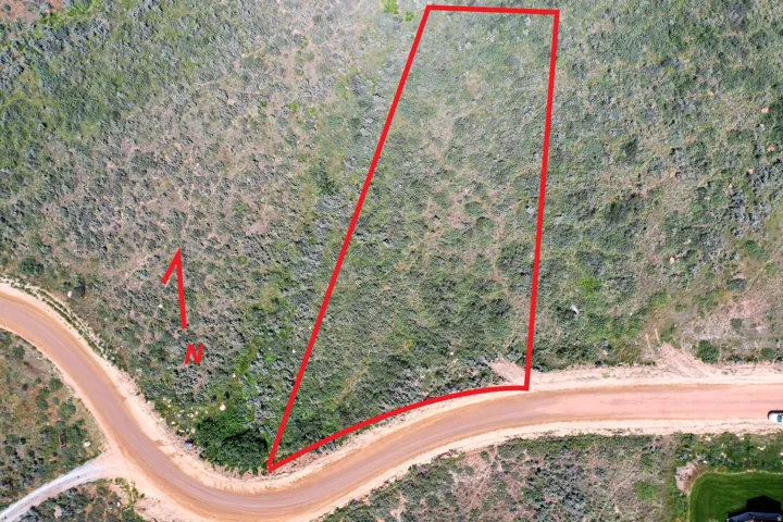 Survey Plan. Outlining the boundaries of the property