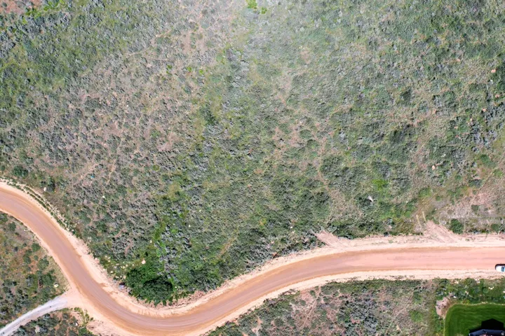 Expansive natural terrain with varied vegetation and a winding unpaved road