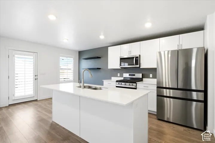 Contemporary kitchen featuring a large central island with an integrated sink, white cabinetry, stainless steel appliances, and wood-finish flooring