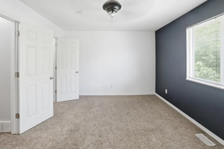 Carpeted interior space with a contrasting accent wall