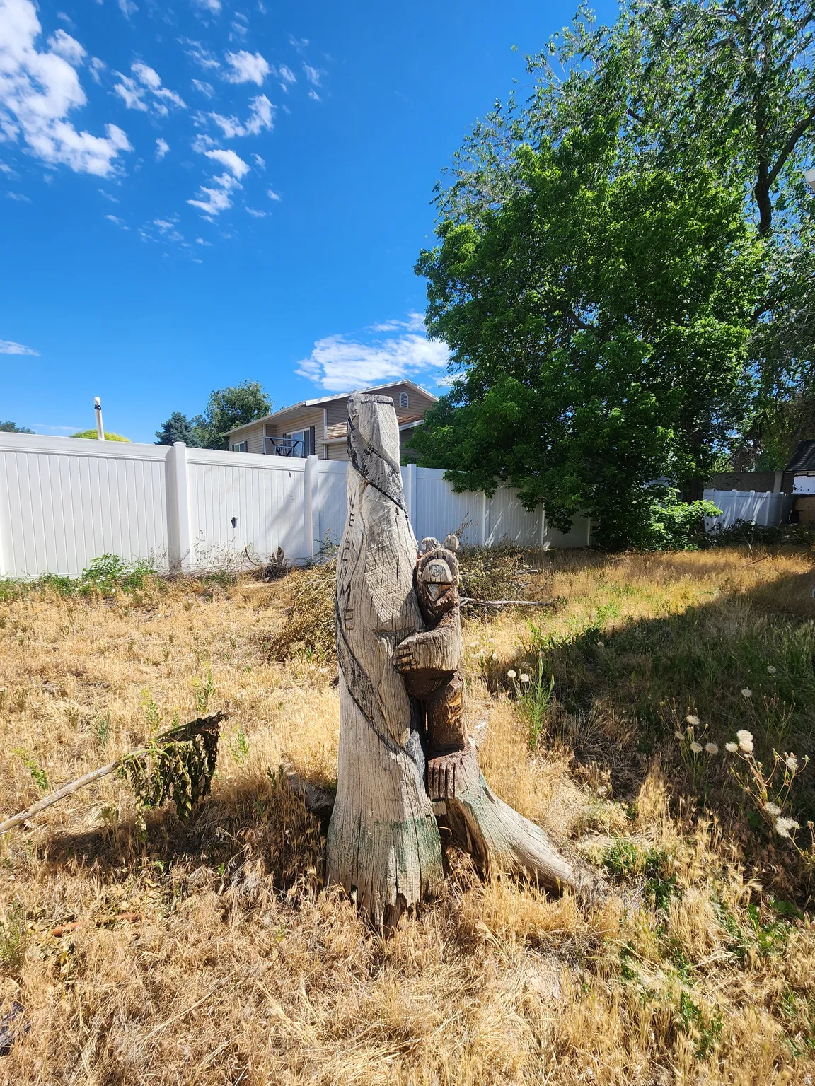 Unique outdoor wood carving feature