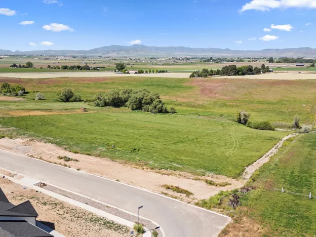 Expansive green acreage with distant mountains under a blue sky, featuring a paved road, street lighting, and scattered trees
