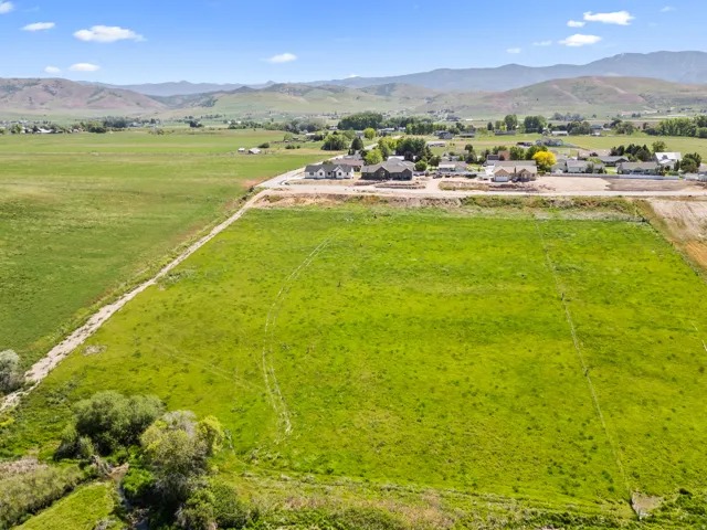 Expansive green fields under a clear sky