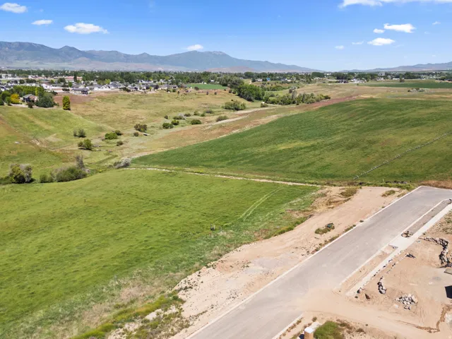 Expansive undeveloped land with a paved road and curbside infrastructure