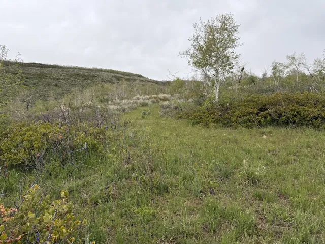 Expansive natural landscape featuring rolling hills and varied vegetation