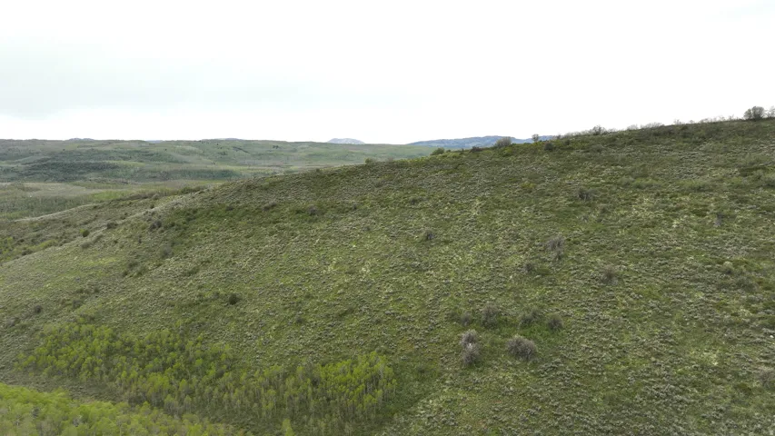 Expansive natural landscape featuring rolling hills and varied green foliage