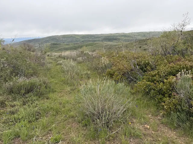 Expansive natural landscape featuring rolling hills and varied vegetation