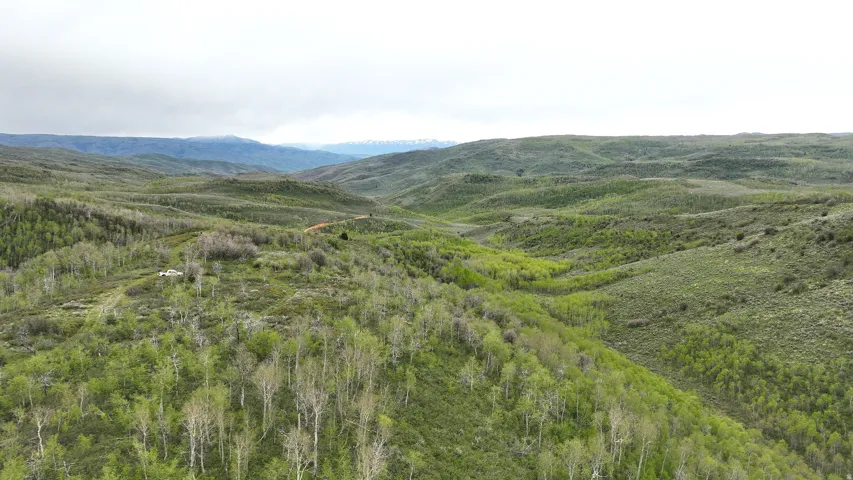Expansive natural landscape featuring rolling hills and abundant green foliage