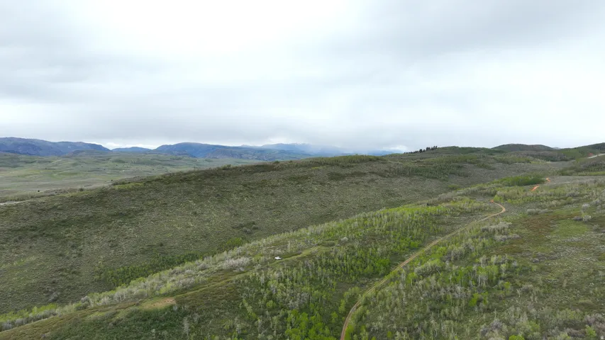 Expansive undeveloped land featuring rolling hills, mature trees, and a visible dirt road
