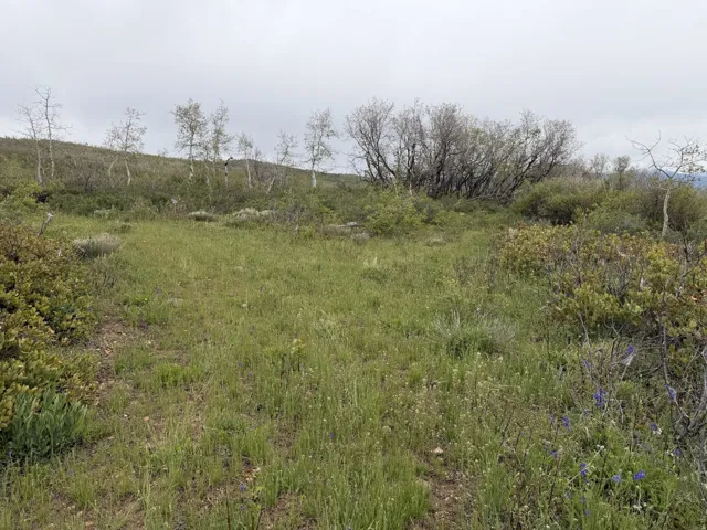 Expansive natural landscape with varied terrain