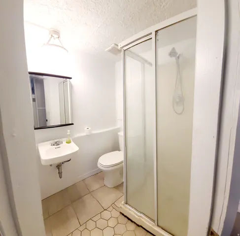 Compact bathroom featuring a wall-mounted sink with chrome faucet, a white toilet, and a glass-enclosed shower with a handheld showerhead