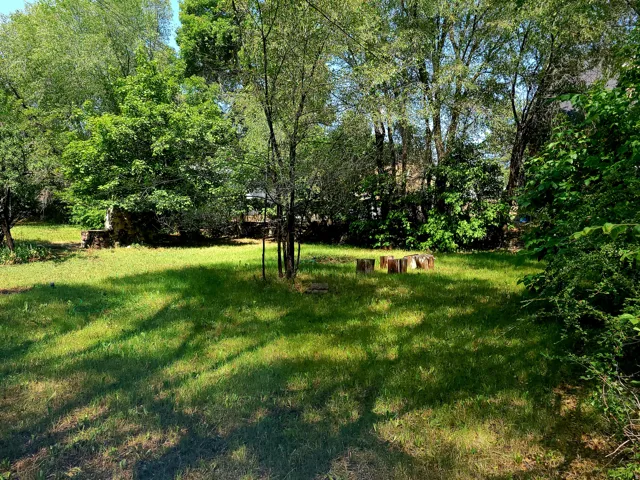 Expansive grassy yard area with mature trees and dense perimeter foliage