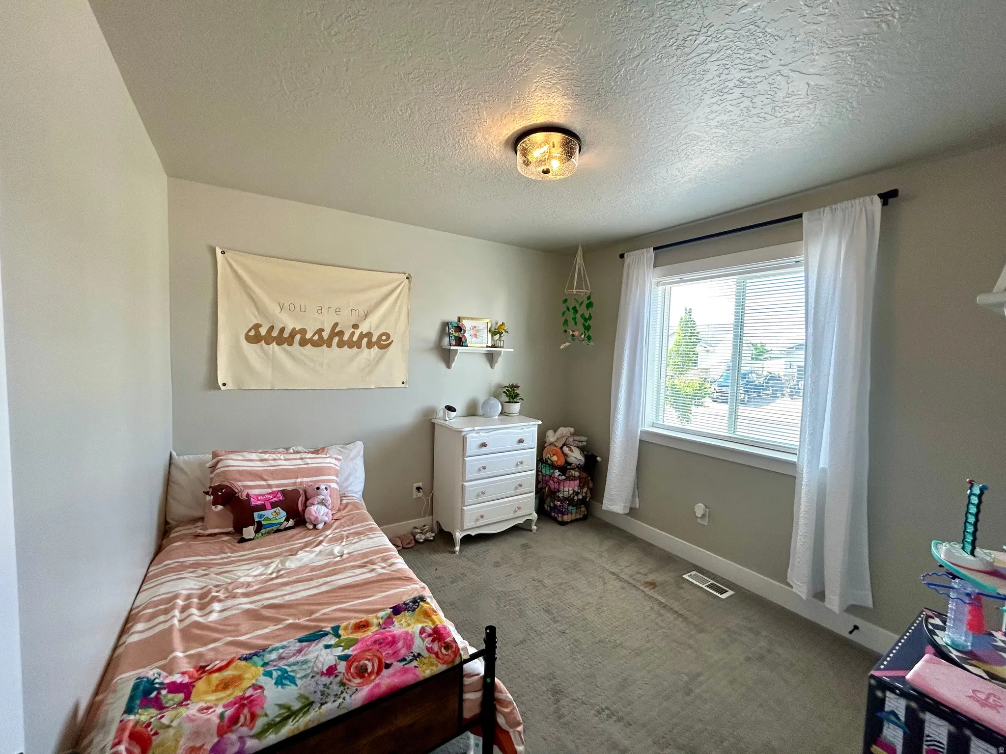 Carpeted room with a ceiling-mounted light fixture