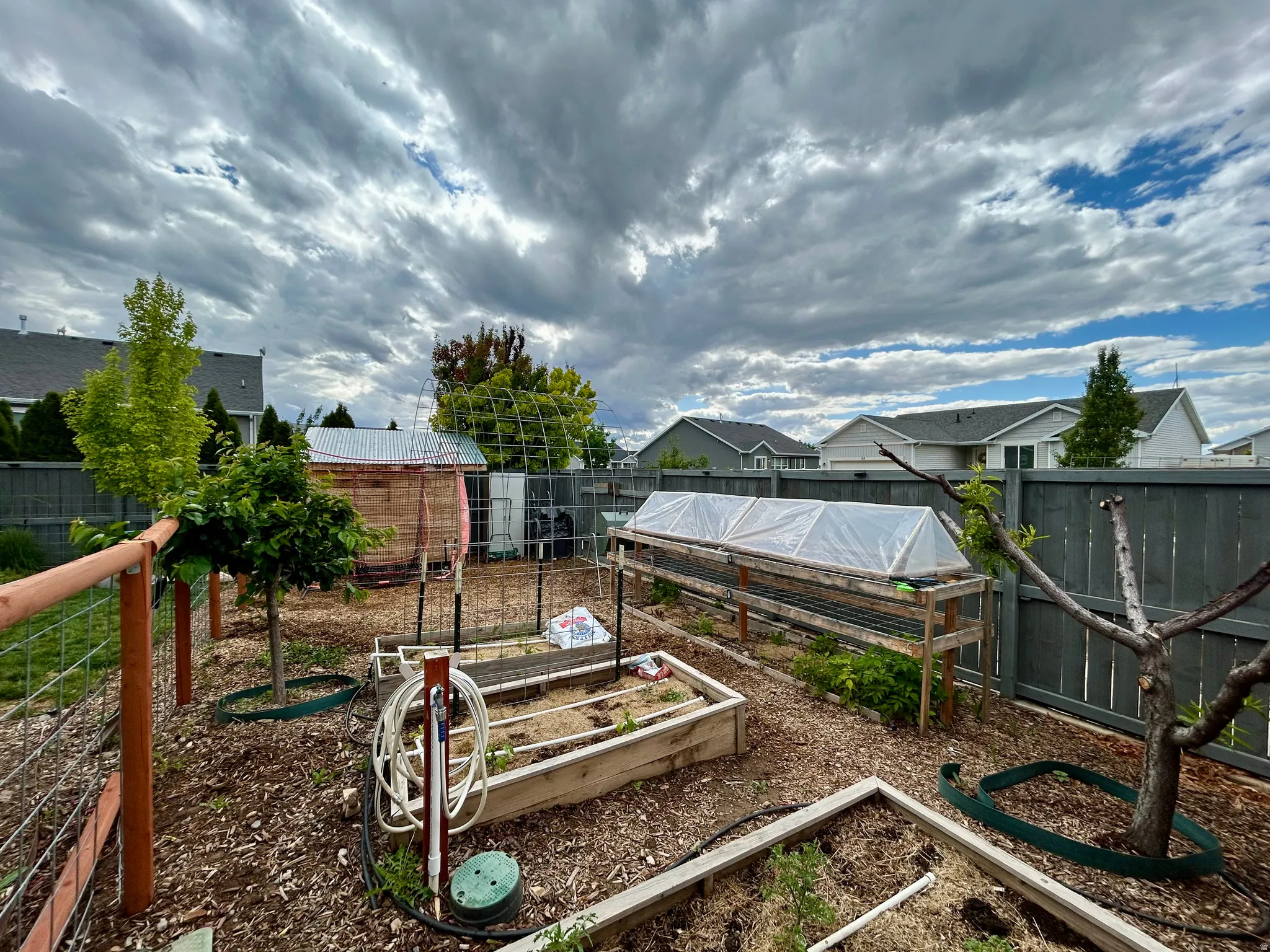 Expansive backyard garden area featuring multiple raised beds and wood chip ground cover