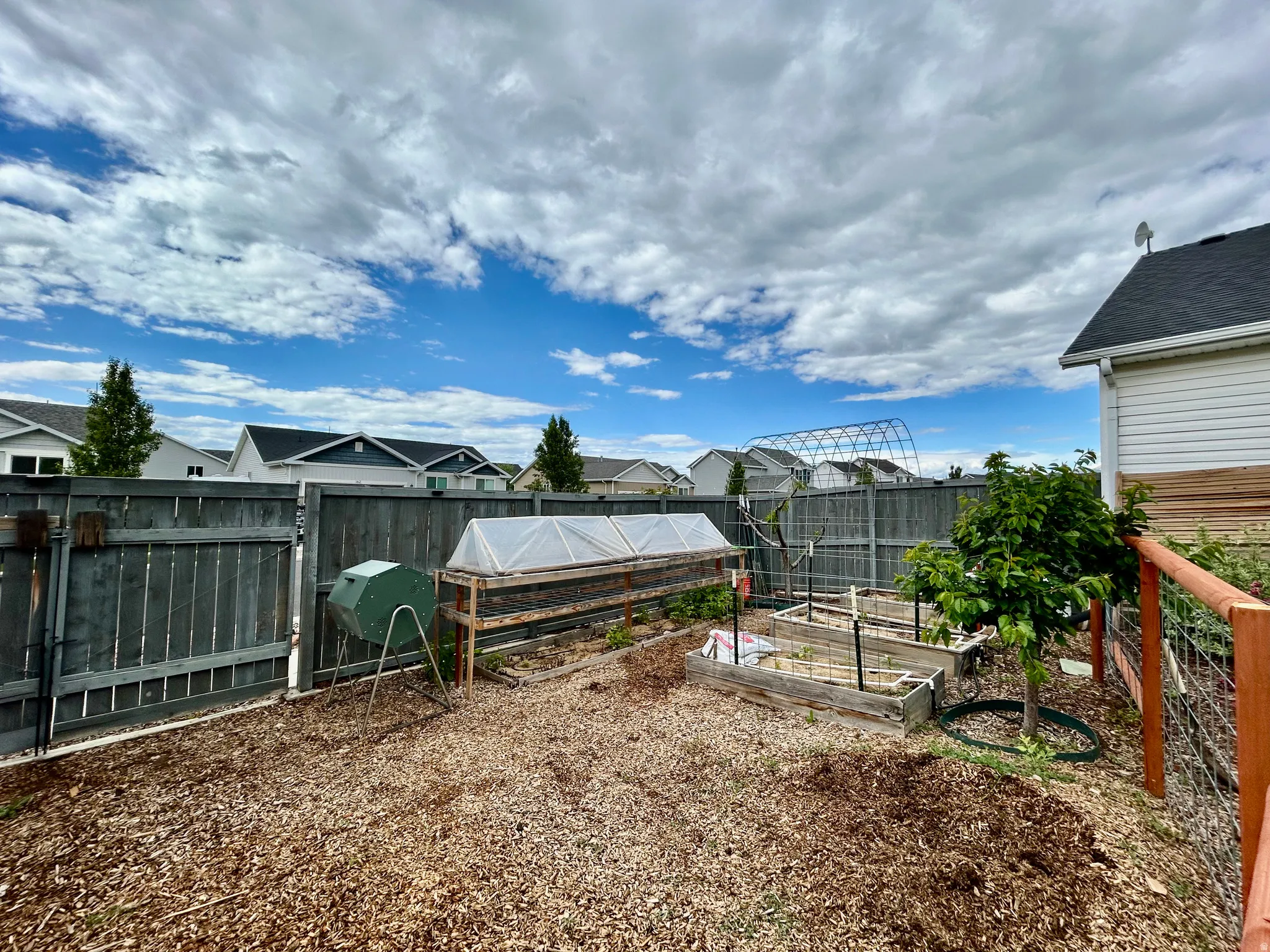 Backyard featuring wood chip ground cover, a privacy fence, raised garden beds, a greenhouse structure, and a fruit tree