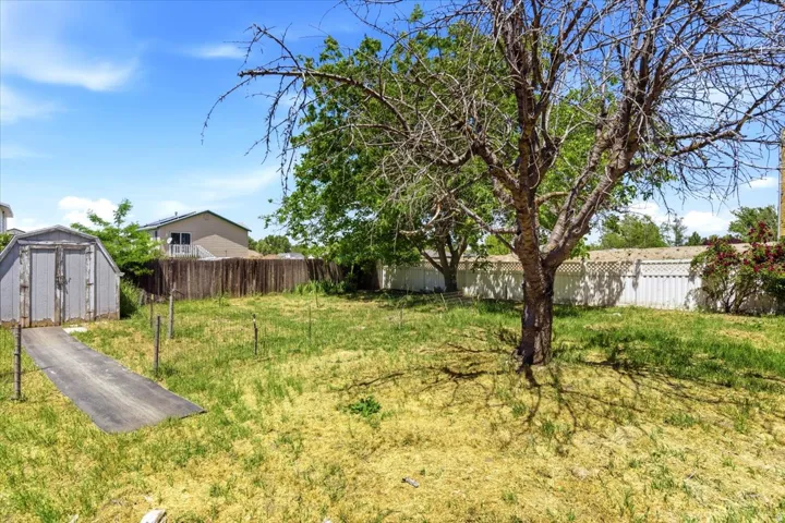 Spacious backyard featuring a storage shed, mature tree, and partial wood fencing