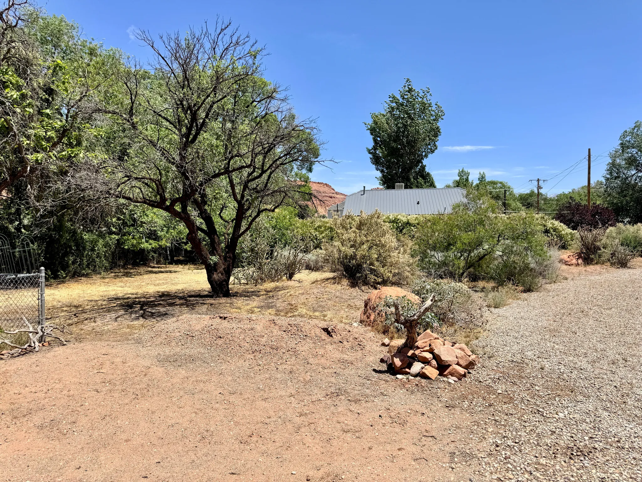 Mature tree providing natural shade