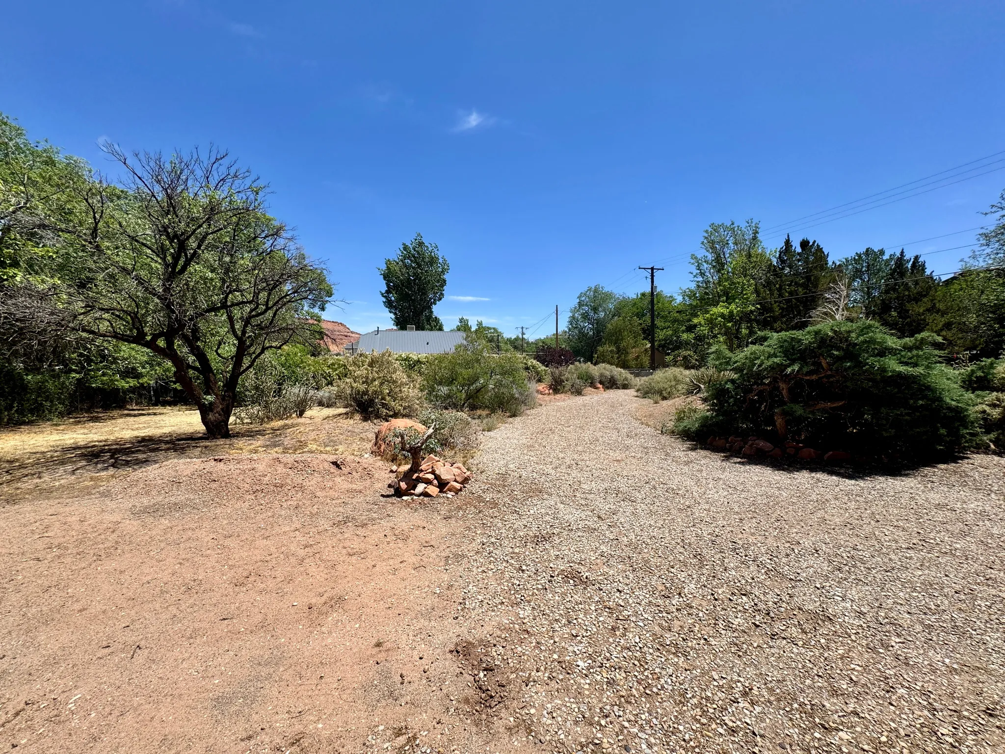 Gravel pathway bordered by natural landscaping and mature trees
