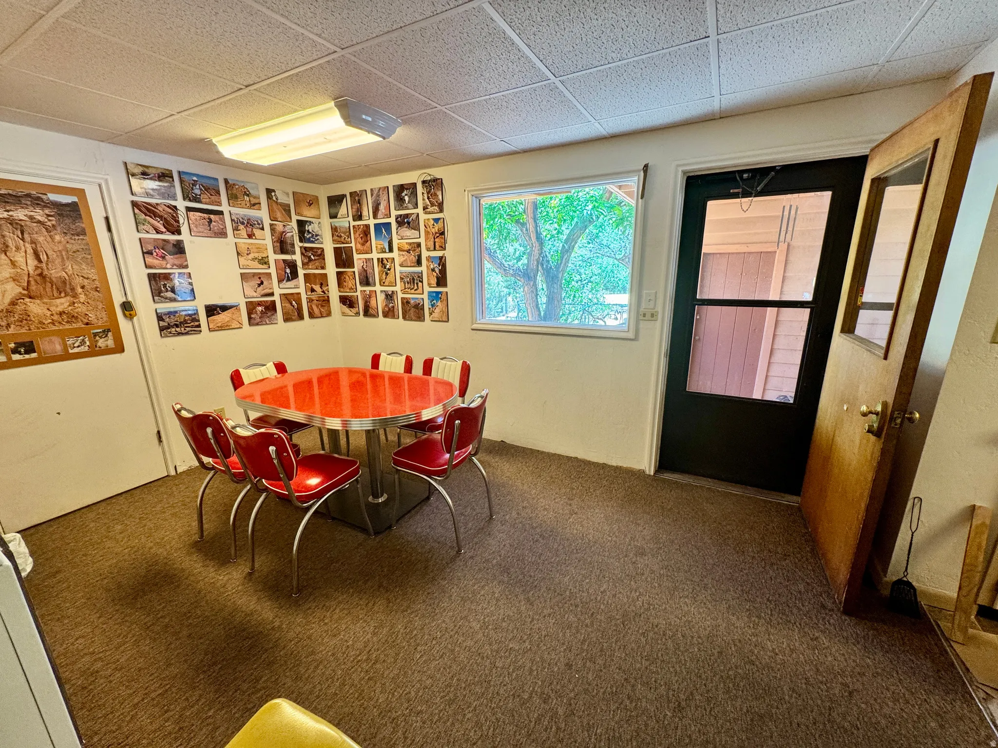 Carpeted room featuring a drop ceiling, white walls, and a window providing natural light