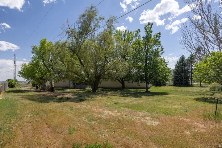 Expansive property featuring mature trees and a substantial grassy area